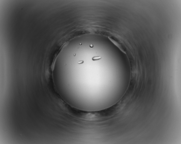 X0000088710566200706141450