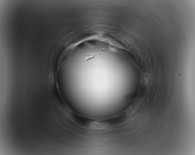 X0000088710568200706141450