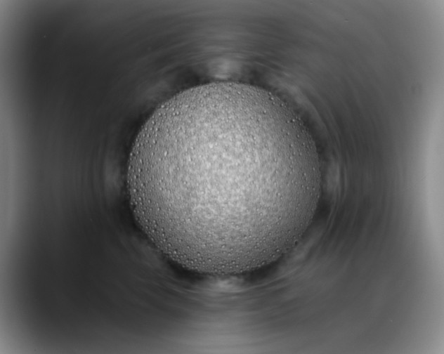 X0000088710569200706141450