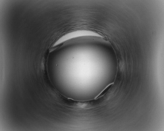 X0000088710570200706141450