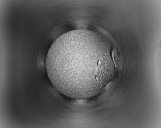 X0000088710573200706141450