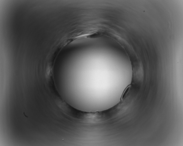 X0000088710574200706141450