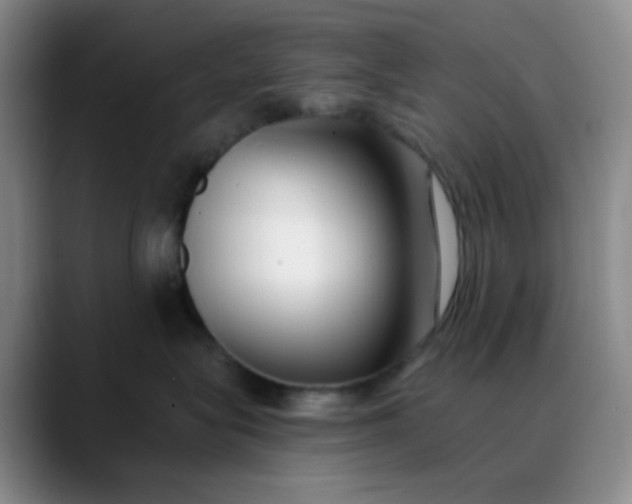 X0000088710575200706141450