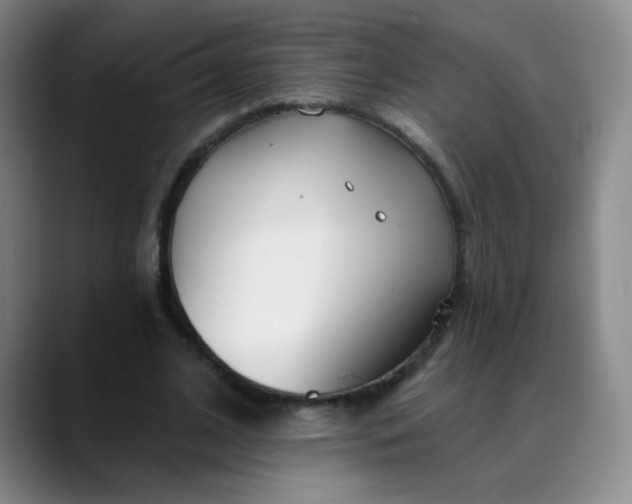 X0000088710584200706141450