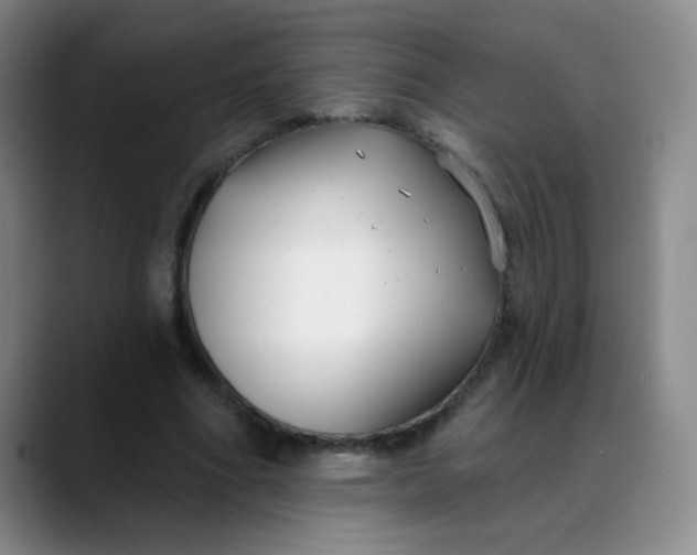 X0000088710586200706141450