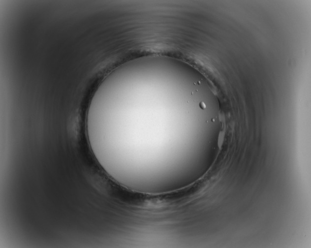 X0000088710591200706141450