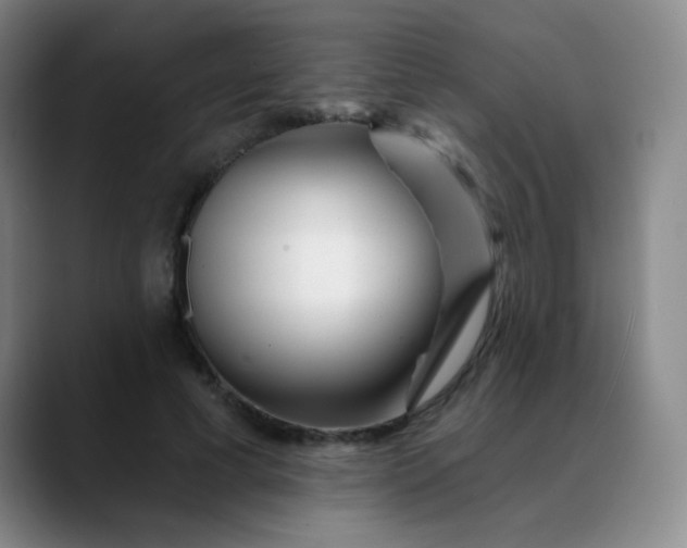 X0000088710593200706141450