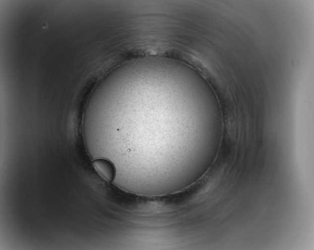 X0000088710594200706141450