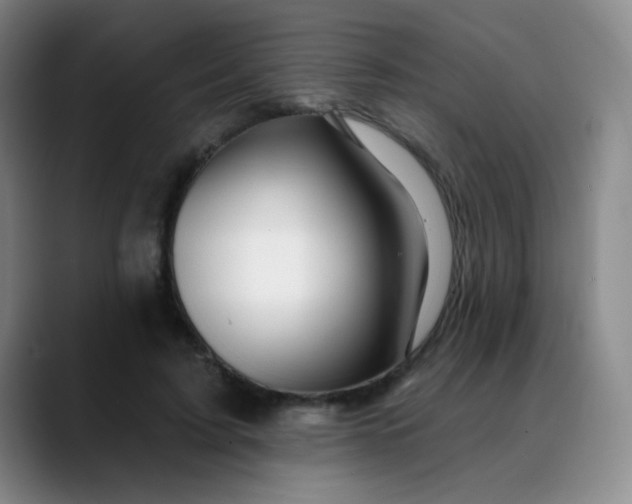 X0000088710595200706141450