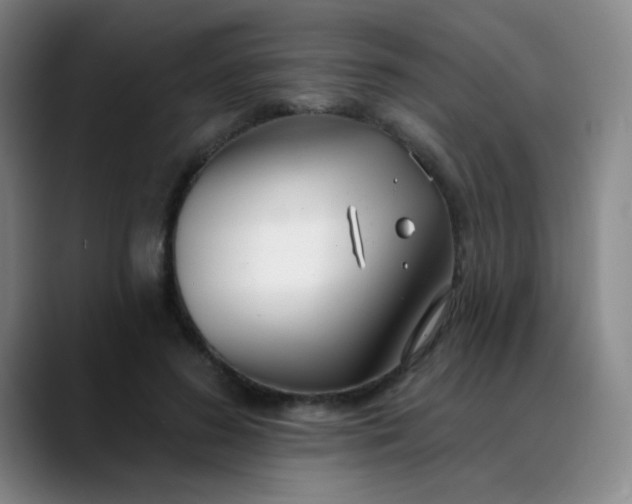 X0000088710596200706141450