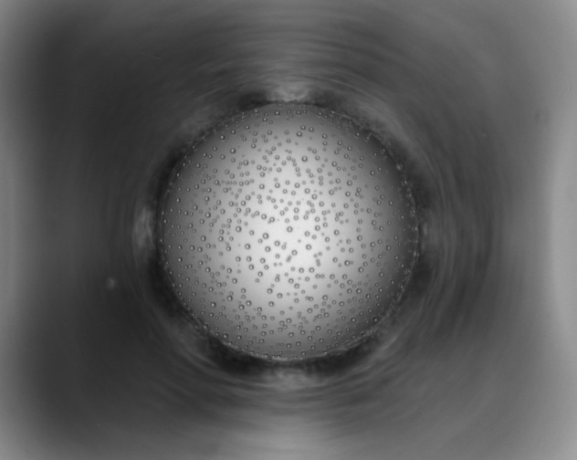 X0000088710598200706141450