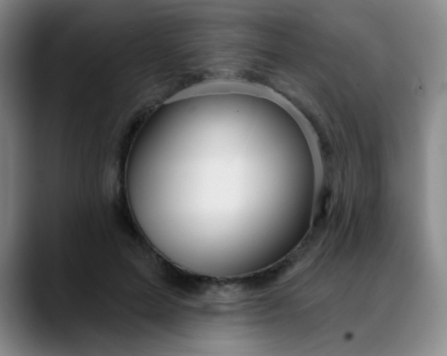 X0000088710599200706141450