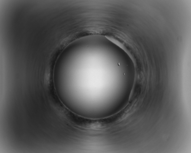 X0000088710600200706141450