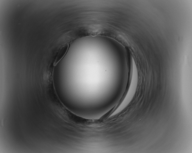 X0000088710601200706141450