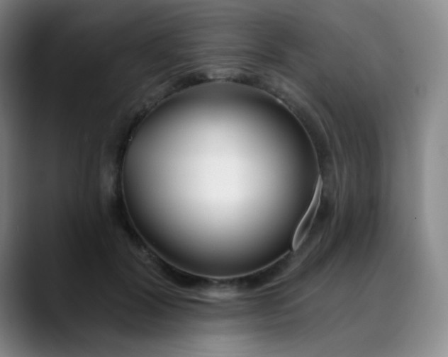 X0000088710604200706141450