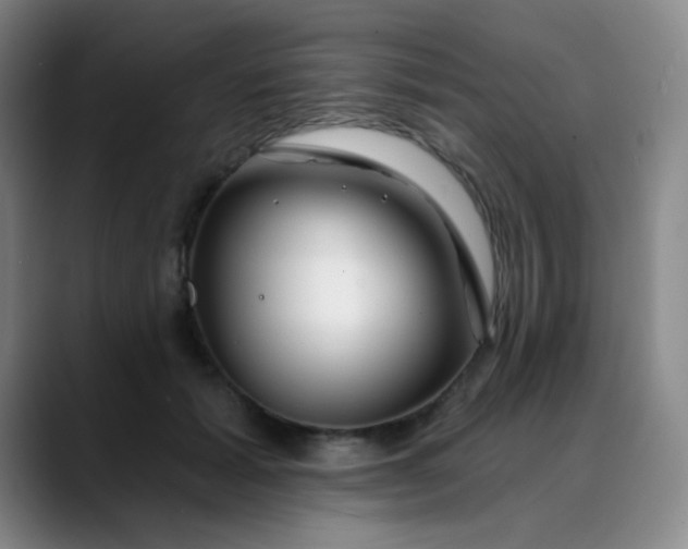 X0000088710605200706141450