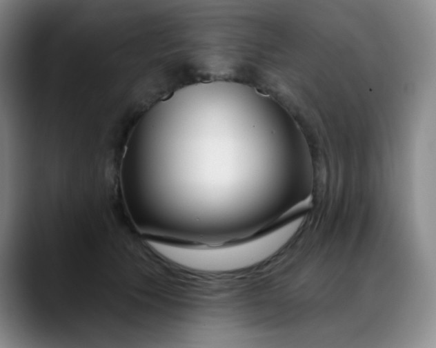 X0000088710609200706141450