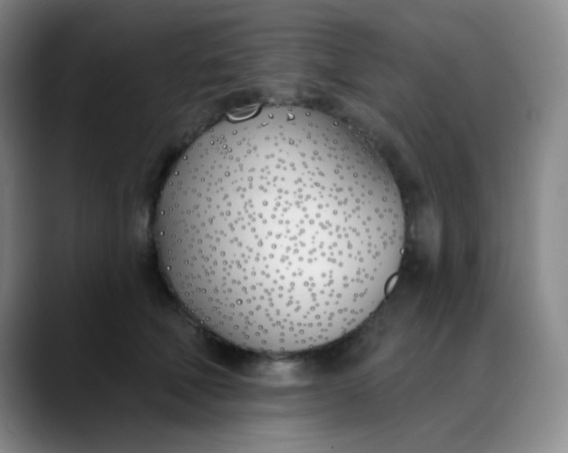 X0000088710610200706141450