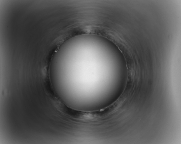 X0000088710611200706141450