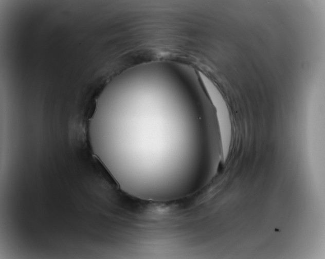 X0000088710613200706141449