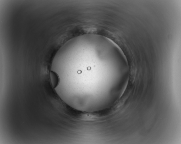 X0000088710614200706141449