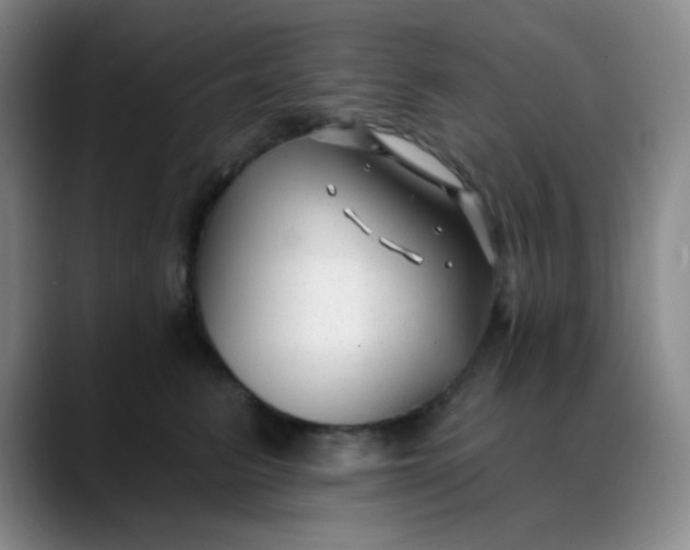 X0000088710615200706141449