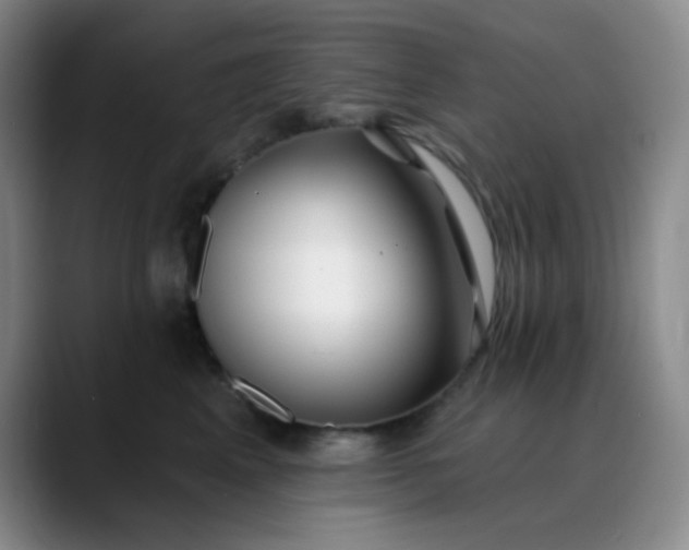 X0000088710617200706141449