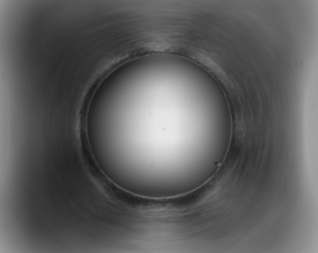 X0000088710626200706141449