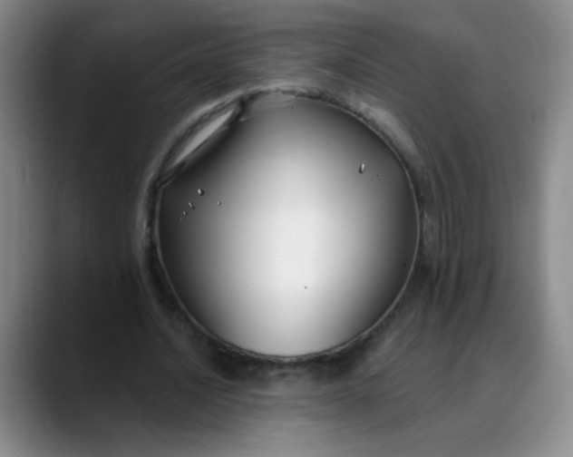 X0000088710628200706141449