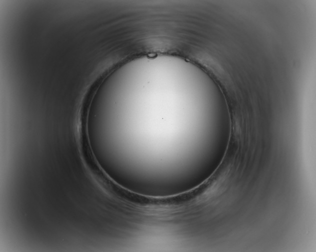 X0000088710630200706141449