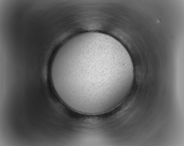 X0000088710631200706141449