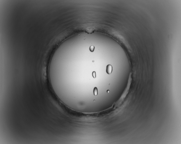 X0000088710633200706141449