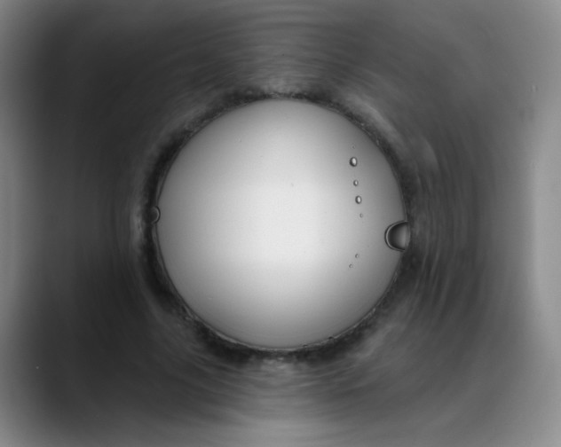 X0000088710635200706141449