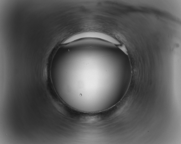 X0000088710638200706141449