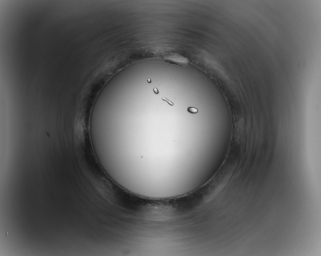 X0000088710644200706141449