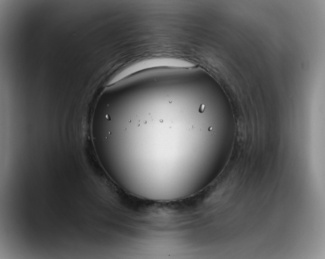 X0000088710648200706141449