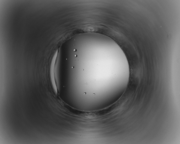 X0000088710652200706141449