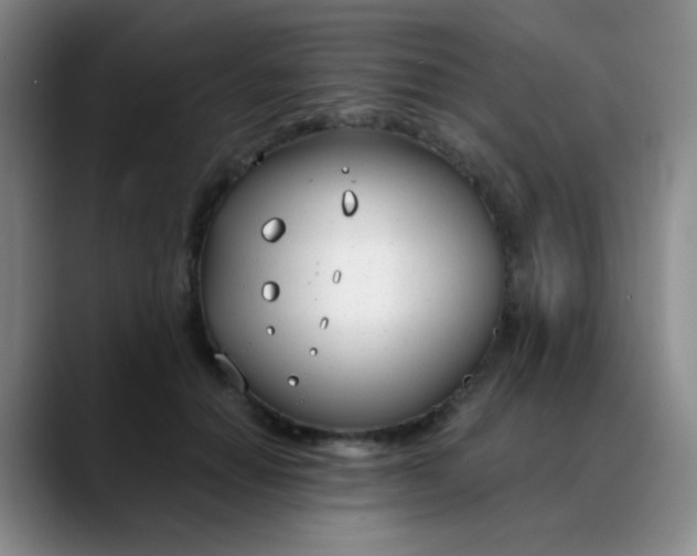 X0000088710654200706141449