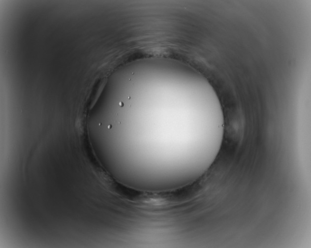 X0000088710658200706141449