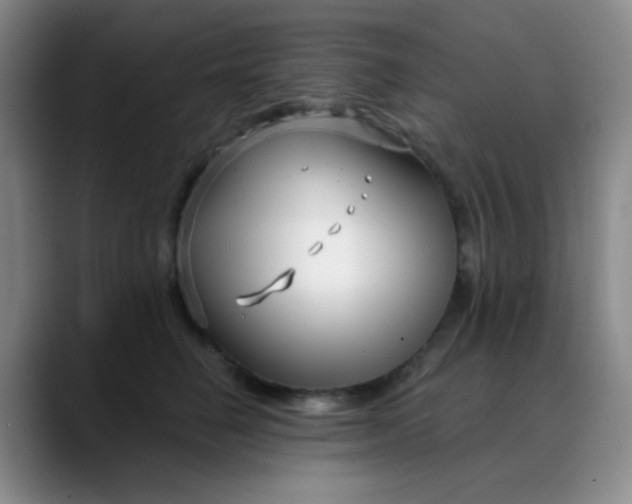 X0000088710662200706141449