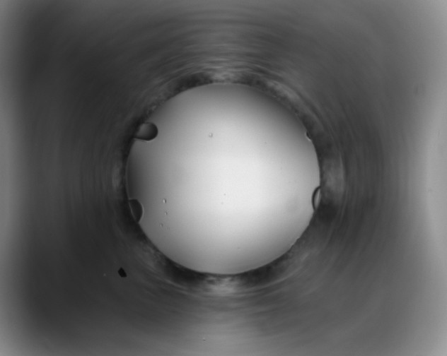 X0000088710667200706141449