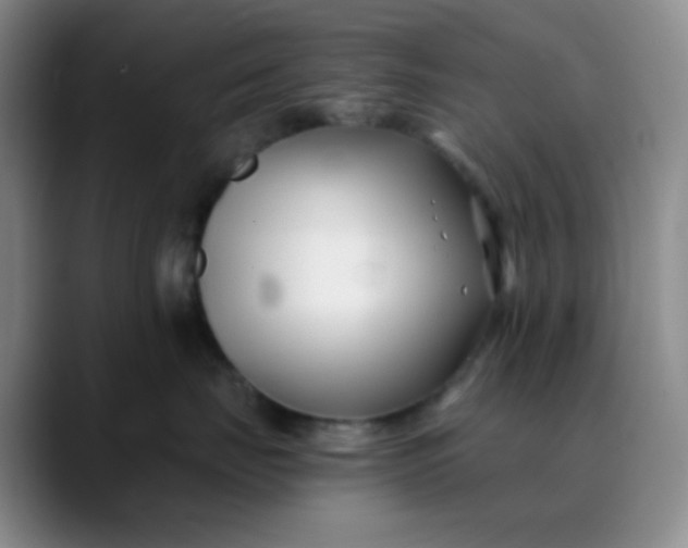 X0000088710671200706141449