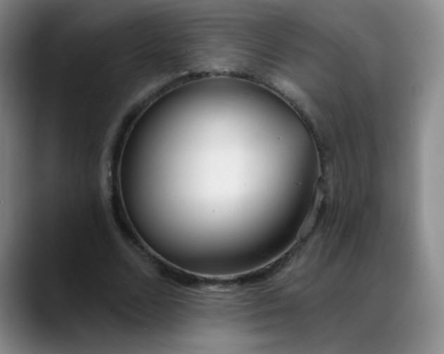 X0000088710680200706141449