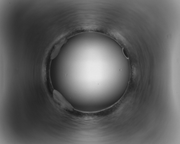 X0000088710684200706141449