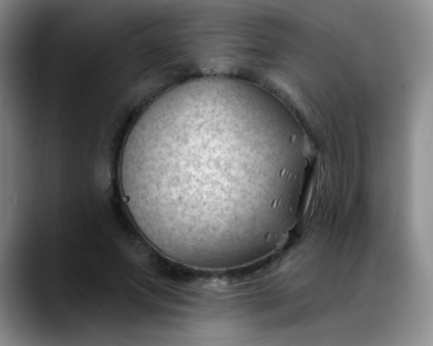 X0000088710687200706141449