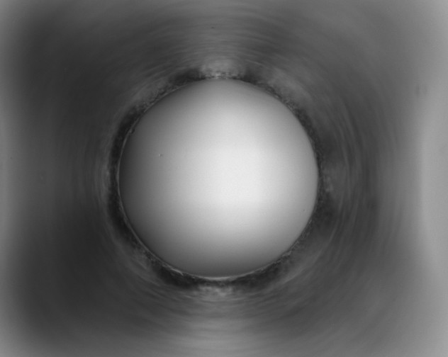 X0000088710690200706141449