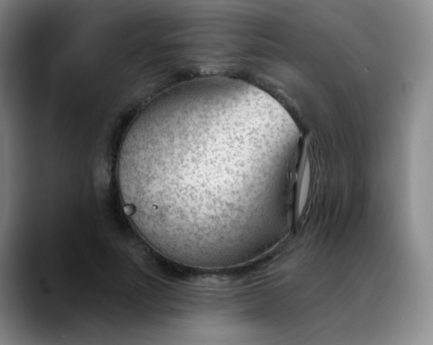 X0000088710691200706141449