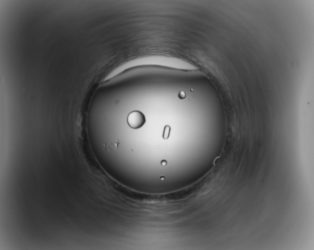 X0000088710693200706141449