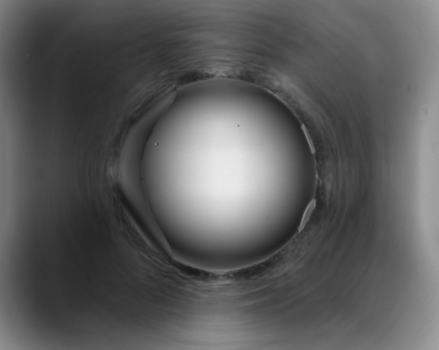 X0000088710696200706141449