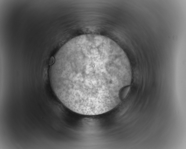 X0000088710699200706141449